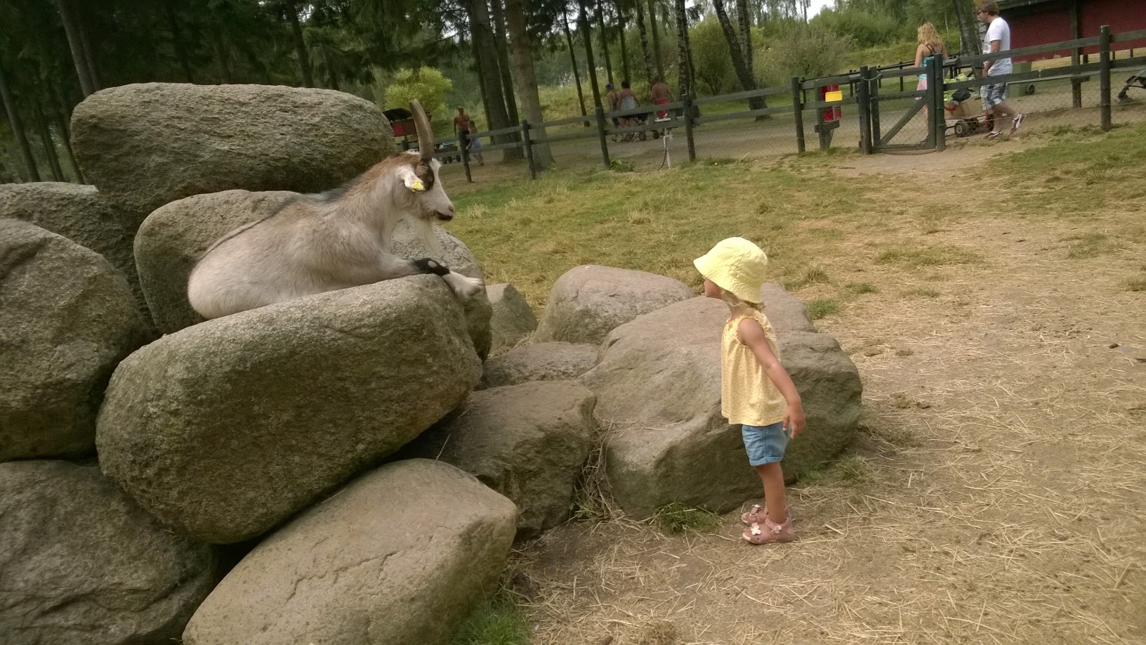 WP_20140727_044