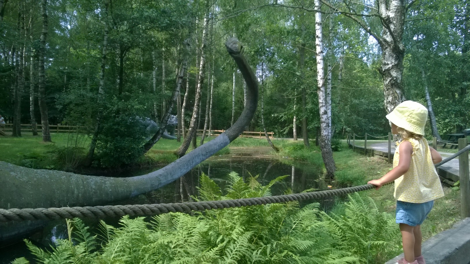 WP_20140727_051